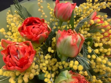 "�������� �����, ������ � �����"