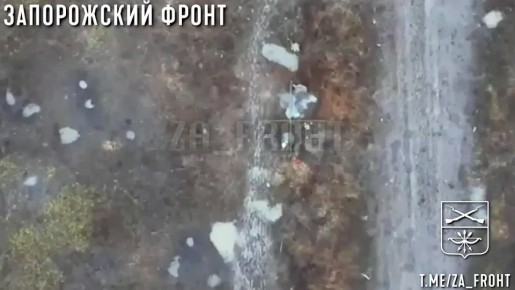 ����������� �����������. ������� ���� ������ ����� ������� ������� ���������� ��������� ���������� ����� ���� ����������, �� ����� �� �� ��������� �����