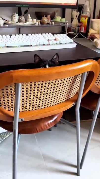 ������ ����. � ������ ������ �������� ������� ������