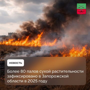 � ��� �� ����������� ������� ���������� �� ��������������� �� ������� ��������� �������