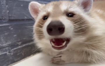 ������ ����, ������! �������� ��� ��� � ��������� ����������!