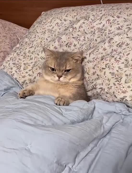 Вот и вечер. Заканчиваем с делами и в кровать