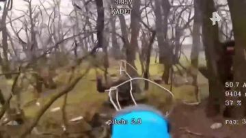 ������� ������������� ����������� � ���� ���������� ���������� ��� � ����������� �������