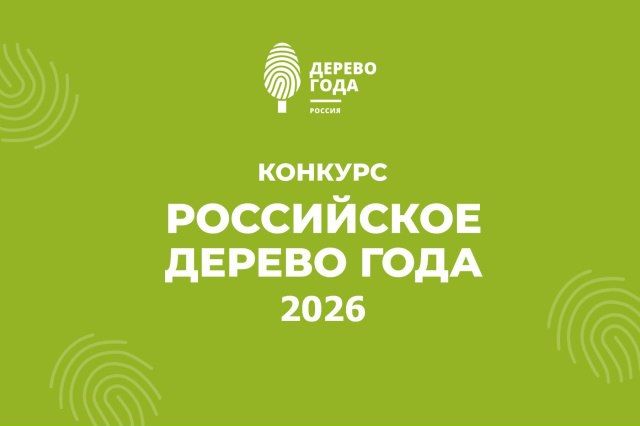 �������� ������������� ������� ����������� ������ ���� � 2026�