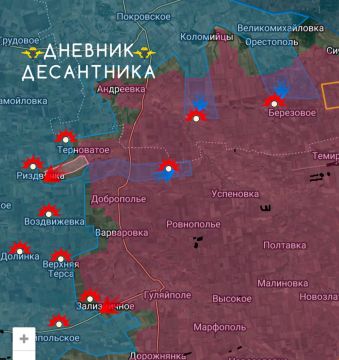 ����������� �����������. ������� ���������