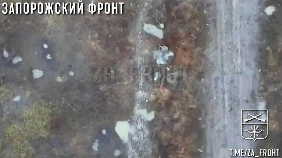 ����������� �����. ���������� �����������