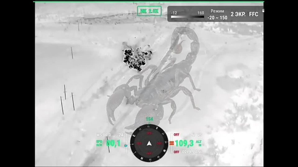 ����������� �����������. ������� fpv ����������� ���������� ���������� ���������� ���� � �����