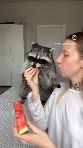 ������ ����, ������! �������� ��� ��� � ��������� ����������!