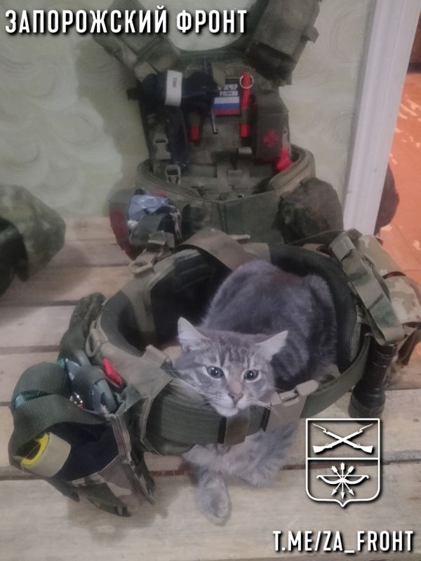 ���� ������� ���� � ������������ �����������