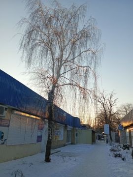 � ������ �����, � ����������� ����!