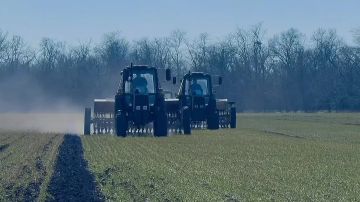 ������� ����������� ������� ���������� ��������� ������ �������