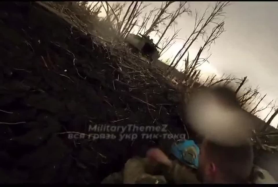 ����� ������� �������� �� ���� ������ ���� �� ����������� �����������