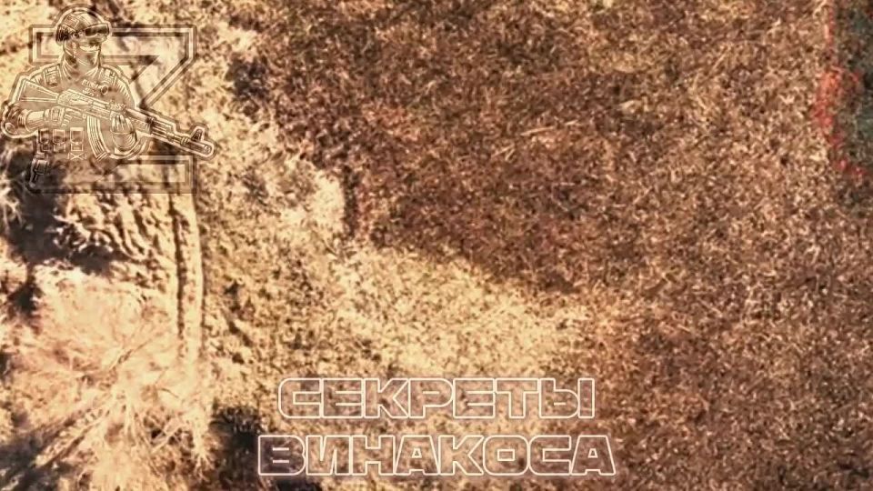 �������� ����� 16 ��� ���. ��������� �������� ����������� ������� � �������� � ���������������� ����������� �� ����� ������