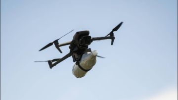 ��� ��������� ���������� ������ ������, � ������� ����� ���� ���������� �����������