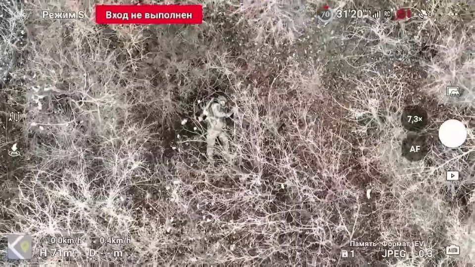 ��������� ���� ������������� 36 ����� ����������� ����� "������" ������� � ���������� ������ ������ ���������� �� ������� 225 ��� ���