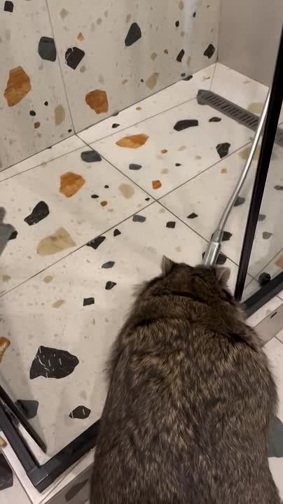 ������ ����, ������! �������� ��� ��� � ��������� ����������!