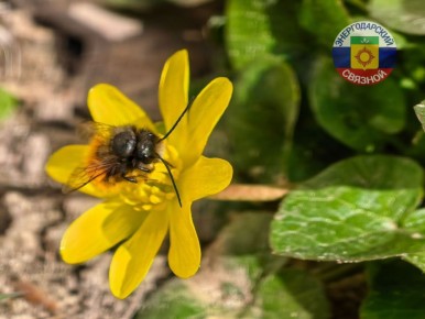 � ������� ������ ���, ������!