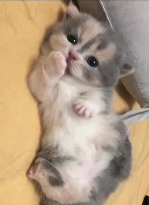 ���, �������. ��� � ��������� ������� ����