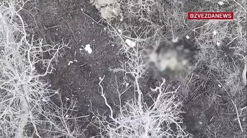 ���������� ����������� ������� �� ������� � ����� ��������� �������� � ����������� �������