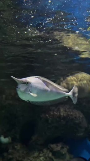 ����� ����� ������� �������� ��� �� ��� ������� ������� �����������