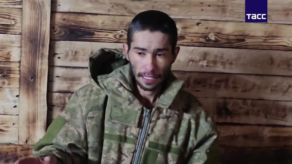 �������� �����: ����� ���������, ������� �������