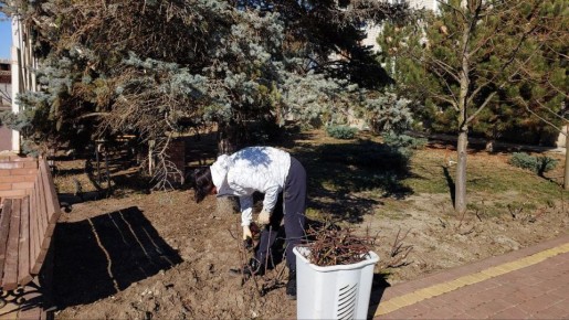 � ���������� ������ �������� ������ �� ��������������� ����������