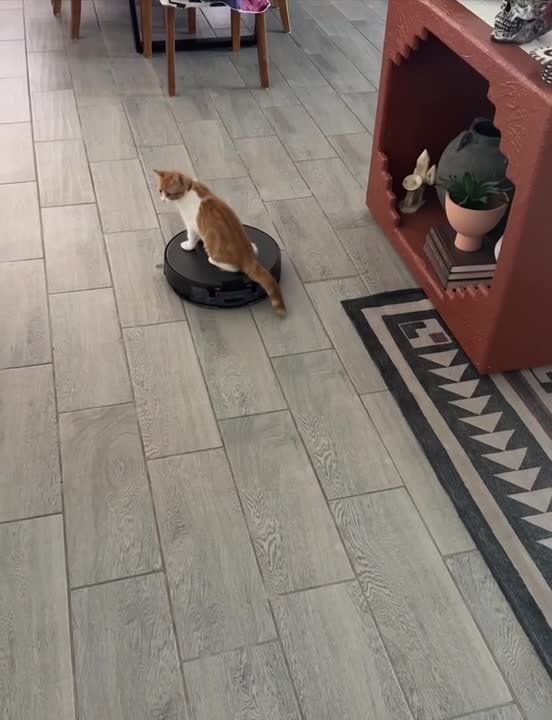 Врываемся в выходные. А какие у вас планы на этот день? Подписывайтесь на Запорожский вестник в MAX, Telegram и ВКонтакте и делитесь с близкими