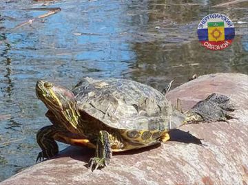 На дворе март, а на часах утро