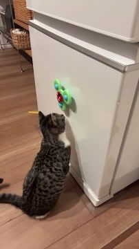 Вот и пролетели выходные. А чем вы занимались в свободное время? Подписывайтесь на Запорожский вестник в MAX, Telegram и ВКонтакте и делитесь с близкими