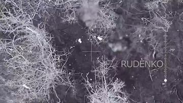 ������ �������: ��������� ���� ����� ����������� ������ ��� ������� �������� ������� ������� ������������ ����� ��� � ����������� �������