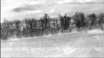 ���� ��������: ���������� � ���� ��������������� ����������� ����� "������" �� ��������� �����, ����������� @voin_dv