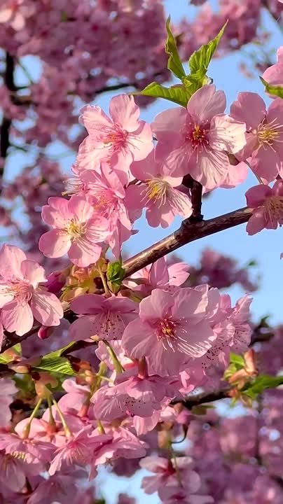 Доброе утро!. 15 марта, воскресенье Последний выходной недели встречает нас весенней прохладой и мягким светом! Прогноз погоды на сегодня: