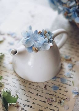 ������� ��� ����!