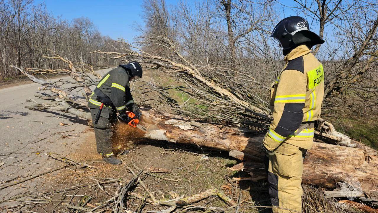 Владимир Рогов: На Запорожье разгулялась стихия Владимир Рогов: На Запорожье разгулялась стихия