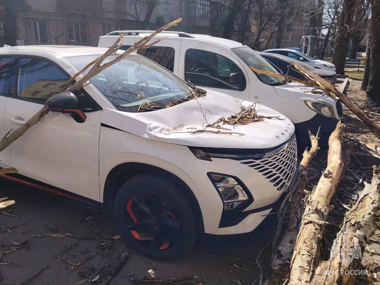 Последствия сильного ветра в Мелитополе