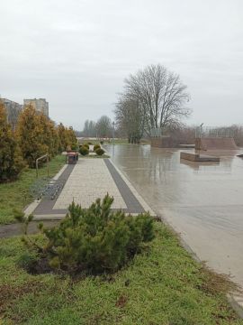 � ������ �����, � ����������� ����!