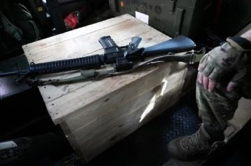 Ждут катастрофы. Плененный под Запорожьем боевик раскрыл правду о ВСУ