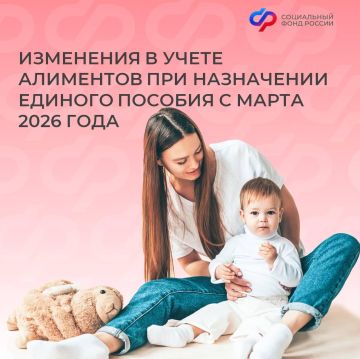 С 1 марта в Запорожской области изменились правила учета алиментов при определении права на единое пособие