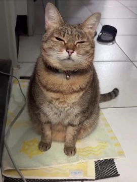 ����� ������ ��������. ����� �� �����, �� ��� �� ���������