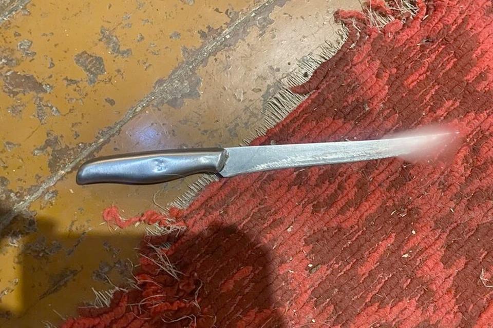 В запорожском селе женщина зарезала своего отчима