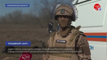 В Запорожской области сапёры МЧС обнаруживают и обезвреживают взрывоопасные предметы