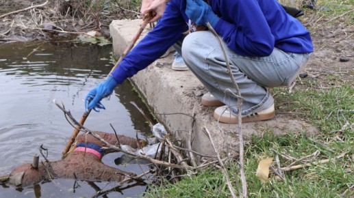 ��������� ������ ������ � ���� �������� ����� ���� �������� � ���������� � ������ ����� ������������