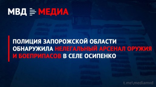 Полиция Запорожской области обнаружила нелегальный арсенал оружия и боеприпасов в селе Осипенко