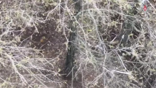 ���������� �� �����