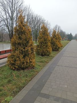 ������ ������ �������, �������, �����������, ���������, �������, �������� � ����������� ����