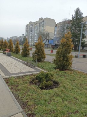 ������ ������ �������, �������, �����������, ���������, �������, �������� � ����������� ����