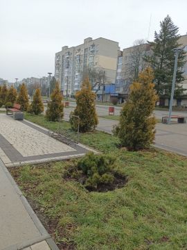 ������ ������ �������, �������, �����������, ���������, �������, �������� � ����������� ����