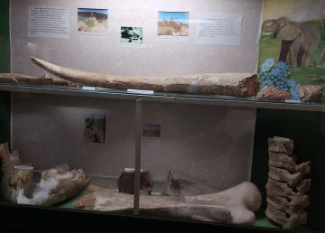 �������� � ���������. ��� �� �������: ����� ������� ������ �������� ��������� ����������� �������������� �����? ����� �������� �� ���� ������, ��� ������� ����������� ������� ��������� � �������