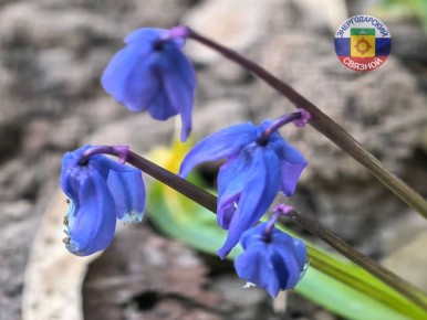 Доброе утро, друзья.. Чтобы ни происходило, никогда не унывайте. Всегда за тёмной полосой следует белая. После ночи всегда наступает рассвет