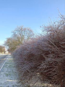 � ������ �����!. ������ ���� � ������ � ����� ����